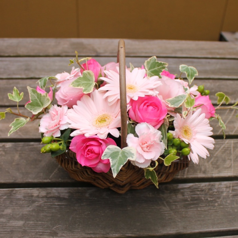Ｍｉｅｌ【ピンク】｜お花屋さん「フローリスト彩花」の母の日のお花