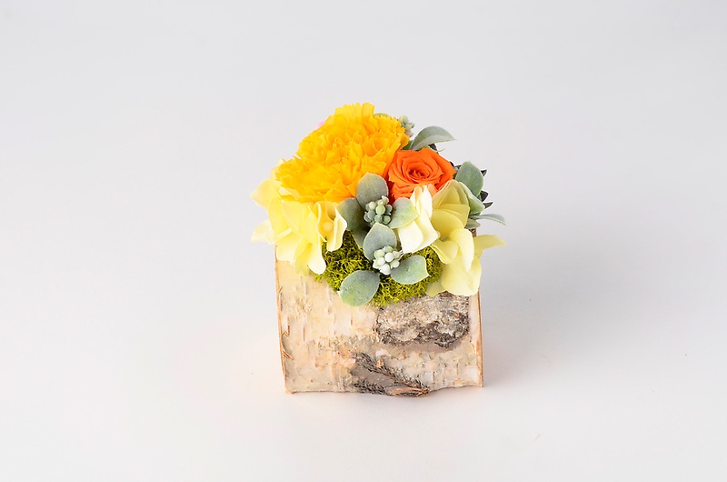 プリザーブドフラワー・キャビン｜お花屋さん「パセリー菜 ４ｓｅａｓｏｎ ｓｔｏｒｅ」の母の日のお花