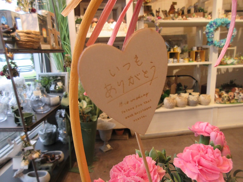 カーネーション　ピンク系　５寸鉢｜お花屋さん「パセリー菜 ４ｓｅａｓｏｎ ｓｔｏｒｅ」の母の日のお花
