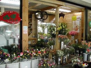 あぼ生花店 青森市新町のお花屋さん イーフローラ フラワーギフトや花の宅配 送料無料も多数