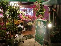 「有限会社 花桂」仙台市青葉区柏木のお花屋さん｜花を贈るならお花屋さんネットワーク「イーフローラ」