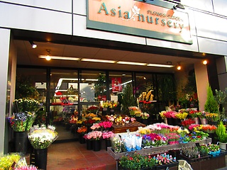 アジアナーセリー 一番町店 仙台市青葉区一番町のお花屋さん イーフローラ フラワーギフトや花の宅配 送料無料も多数