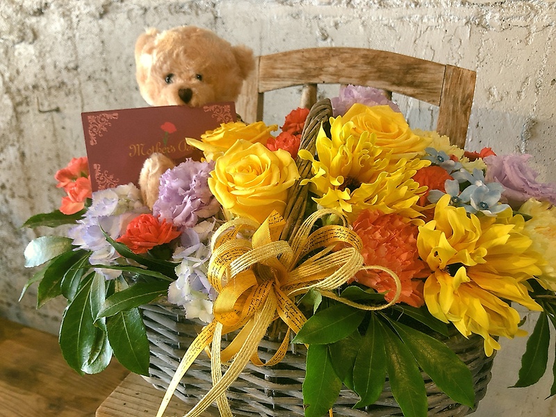 HAPPY BEAR  (CG[jbԉut[Z^[͂v̓̂̕