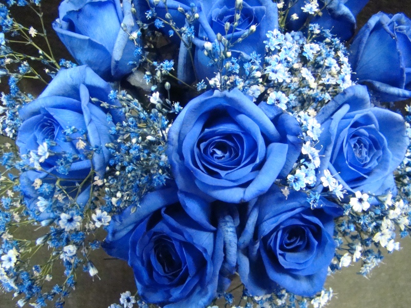 青いバラがほしい と言われたら ハイ これ 白河花子 イーフローラ フラワーギフトや花の宅配 送料無料も多数