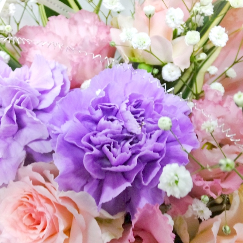 ムーンダストパウダーピンク｜お花屋さん「あとりえ・悠然」の母の日のお花