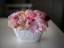 ＭＰ－１Ｐ　キュートピンク 水戸市千波町のお花屋さん「フラワーオブジェ グリーンスポット」母の日の花を始め、フラワーギフトやお花の宅配ならイーフローラ