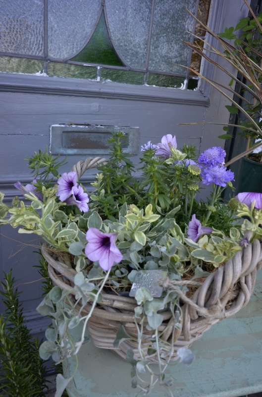 ヒーリングガーデン｜お花屋さん「フラワーオブジェ グリーンスポット」の母の日のお花