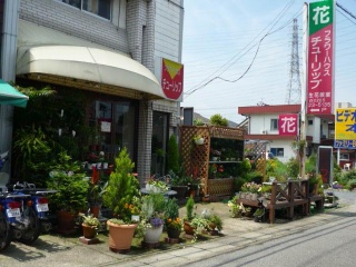 フラワーハウスチューリップ 小山市城東のお花屋さん イーフローラ フラワーギフトや花の宅配 送料無料も多数