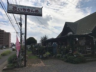 フラワーハウス 花いちもんめ 小山市東城南のお花屋さん イーフローラ フラワーギフトや花の宅配 送料無料も多数