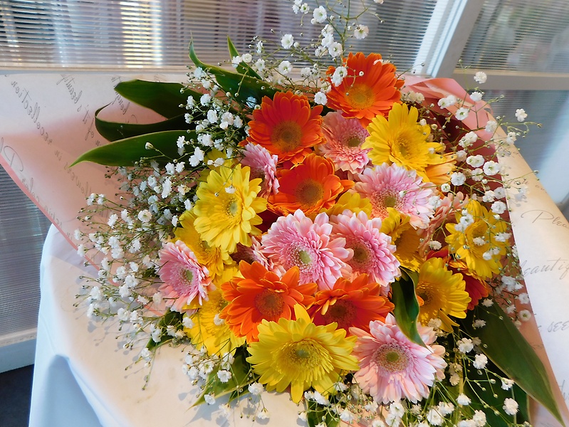 ガーベラ３０本花束 はせがわ生花店 イーフローラ フラワーギフトや花の宅配 送料無料も多数