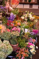 高崎駅周辺にあるお花屋さんまとめ おしゃれでかわいいフラワーギフトが手に入る Pathee パシー