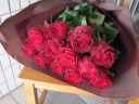 12 Red RosesiPQ{̐Ԃoj