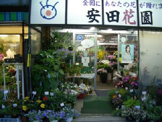 安田花園 三郷市戸ヶ崎のお花屋さん イーフローラ フラワーギフトや花の宅配 送料無料も多数