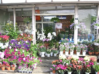 有限会社ぽぷり 川越市元町のお花屋さん イーフローラ フラワーギフトや花の宅配 送料無料も多数