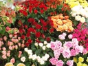 「フローリスト いわさき」さいたま市中央区桜丘のお花屋さん｜花を贈るならお花屋さんネットワーク「イーフローラ」