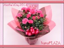 hana*PLAZA Mother's Day FJsq̂ԉut[Xg iJv̓̉Ԃn߁At[Mtg₨Ԃ̑zȂC[t[