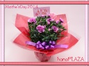 hana*PLAZA Mother's Day FJsq̂ԉut[Xg iJv̓̉Ԃn߁At[Mtg₨Ԃ̑zȂC[t[