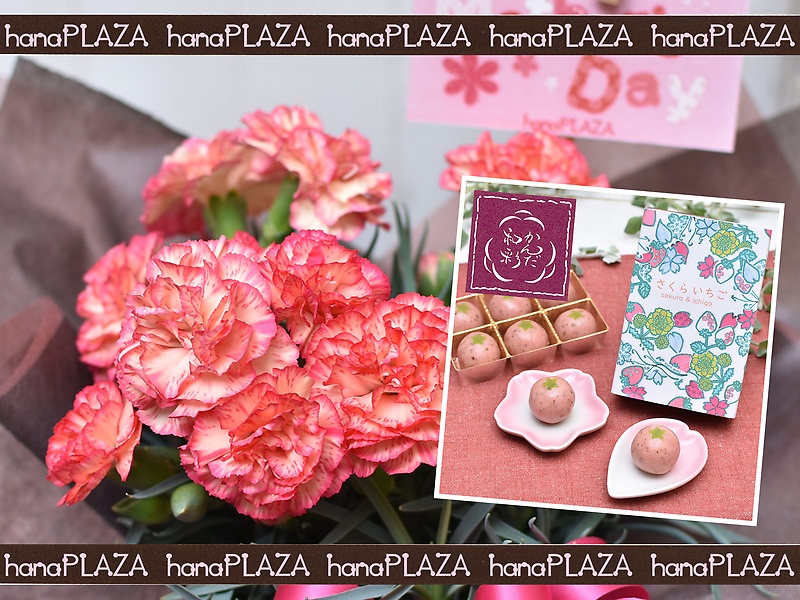 hana*PLAZA ~ aَq 񂾘a **bԉut[Xg iJv̓̂̕