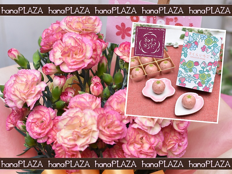 hana*PLAZA ~ aَq 񂾘a **bԉut[Xg iJv̓̂̕