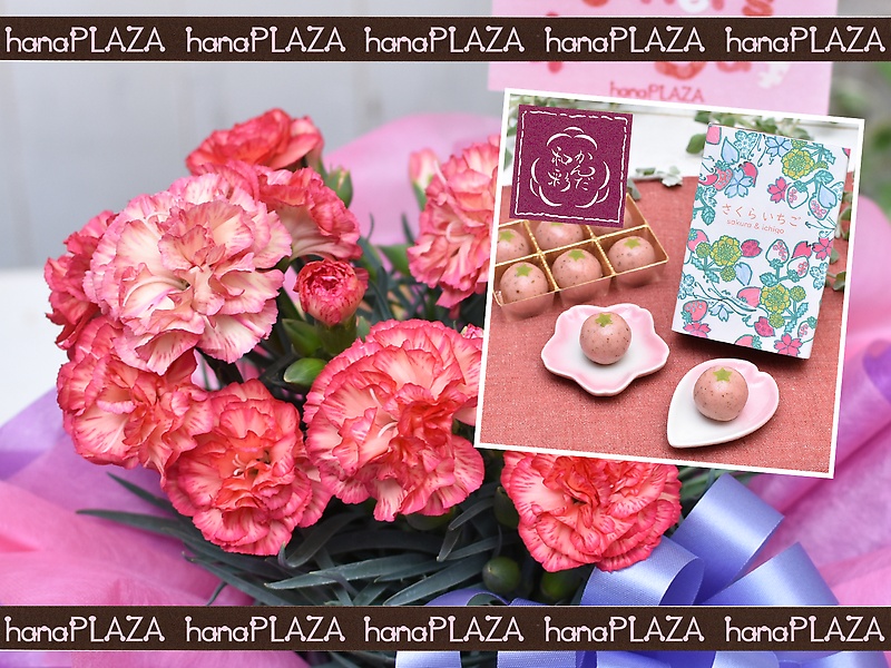 hana*PLAZA ~ aَq 񂾘a **bԉut[Xg iJv̓̂̕