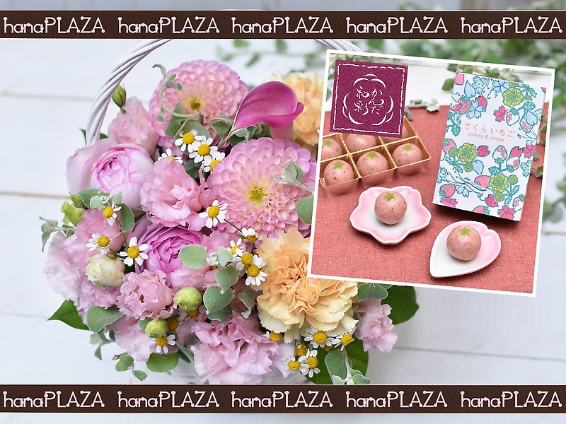 hana*PLAZA ~ aَq 񂾘a **bԉut[Xg iJv̓̂̕