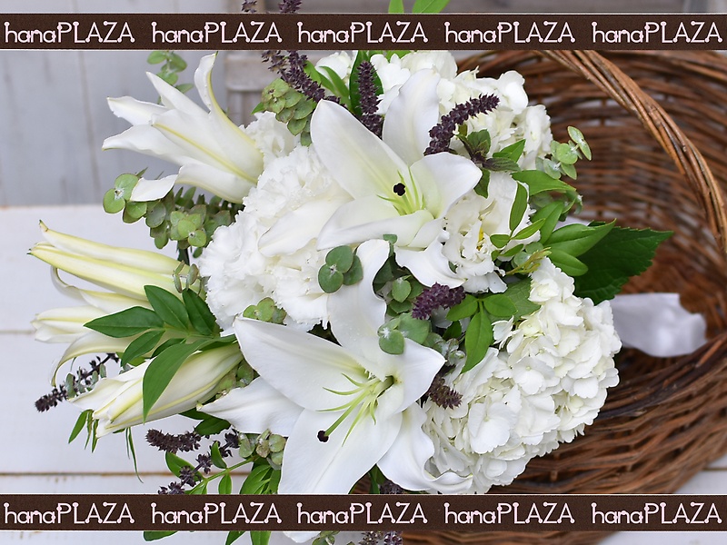 hana*PLAZA WeddingBouquetbԉut[Xg iJv̂