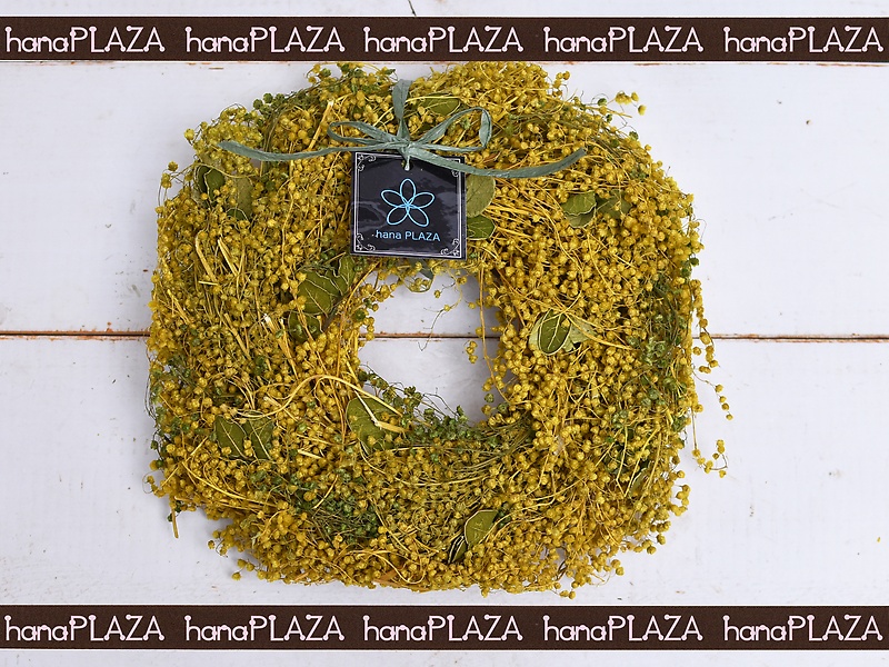 hana*PLAZA -Wreath-bԉut[Xg iJv̂