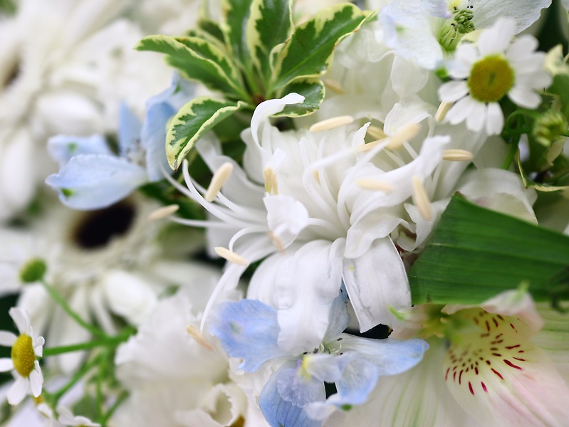 ホワイト＆プラチナブルーのアレンジメント｜お花屋さん「シェ ラ フローリスト エイム」のお花