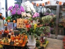 店舗検索千葉県成田市のお花屋さん お花屋さんネットワークのイーフローラ フラワーギフトや花の宅配