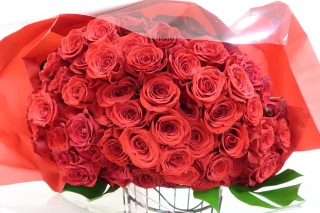 【イグニス】　大輪赤バラ１００本の花束