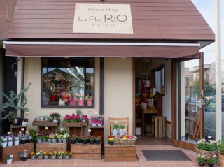 ｌａ ｆｌｏｒ ｒｉｏ 佐倉市王子台のお花屋さん イーフローラ フラワーギフトや花の宅配 送料無料も多数