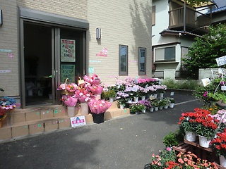 フローリスト 花専華 松戸市小金原のお花屋さん イーフローラ フラワーギフトや花の宅配 送料無料も多数