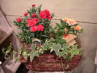 ”mother's garden set” 世田谷区粕谷のお花屋さん「はなっ葉゜」母の日の花を始め、フラワーギフトやお花の宅配ならイーフローラ