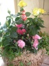 "mather's garden" 世田谷区粕谷のお花屋さん「はなっ葉゜」母の日の花を始め、フラワーギフトやお花の宅配ならイーフローラ