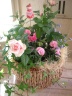 ”mather's plant" 世田谷区粕谷のお花屋さん「はなっ葉゜」母の日の花を始め、フラワーギフトやお花の宅配ならイーフローラ