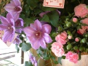 ”mother's mix" 世田谷区粕谷のお花屋さん「はなっ葉゜」母の日の花を始め、フラワーギフトやお花の宅配ならイーフローラ