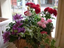”mother's royale" 世田谷区粕谷のお花屋さん「はなっ葉゜」母の日の花を始め、フラワーギフトやお花の宅配ならイーフローラ