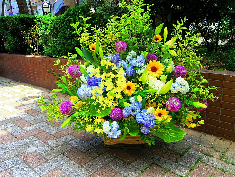 natural flower arrangebԉuԂ݁v̂