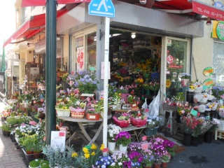 花ひろば 大田区中央のお花屋さん イーフローラ フラワーギフトや花の宅配 送料無料も多数