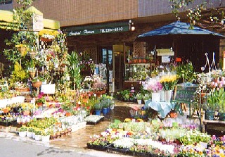 池袋駅周辺のステキなお花屋さんまとめ 母の日や誕生日にも贈りたい Pathee パシー