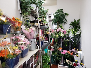 馬鈴花 渋谷区神宮前のお花屋さん イーフローラ フラワーギフトや花の宅配 送料無料も多数