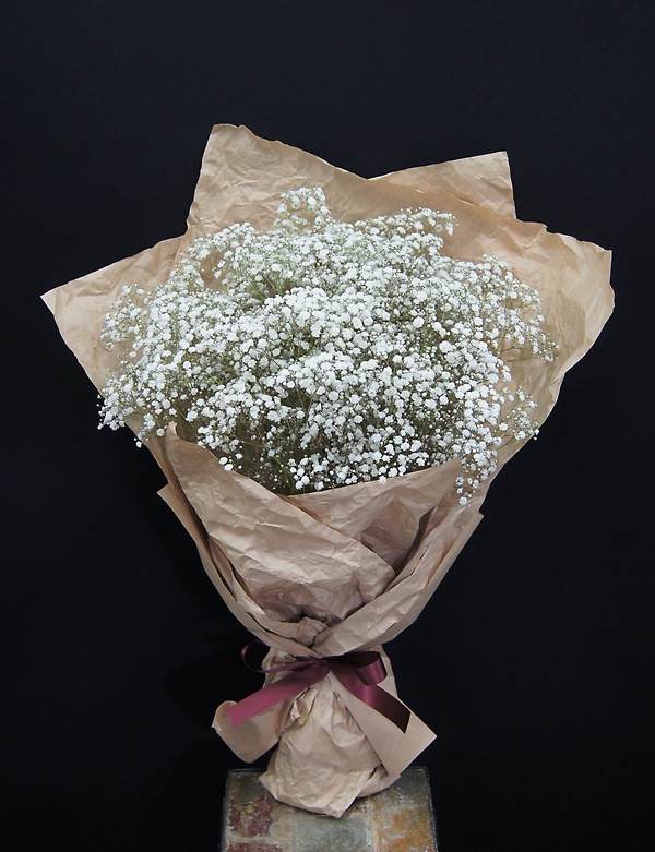 ふわっふわ カスミソウのおしゃれな花束 ａｓｔｉｎａ パリ イーフローラ フラワーギフトや花の宅配 送料無料も多数