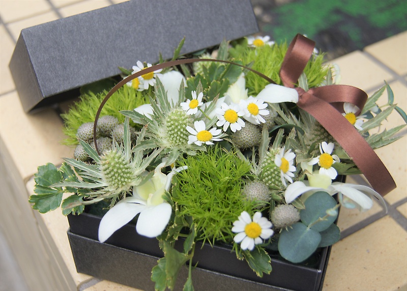 BOX FLOWER `Green & White~bԉu` pv̂