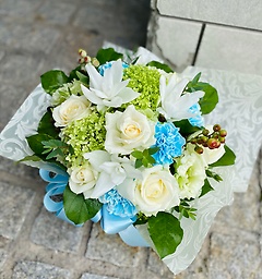 white&blue Vg̃EBNAWg(*^^*)