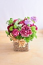 y̓z4.Red~Purple Arrangement -p[vo-