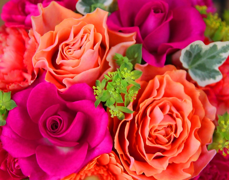 母の日Le Rose(レ ローゼ）M ビビッド｜お花屋さん「ＨＡＮＡＴＯＳＨＩ」の母の日のお花