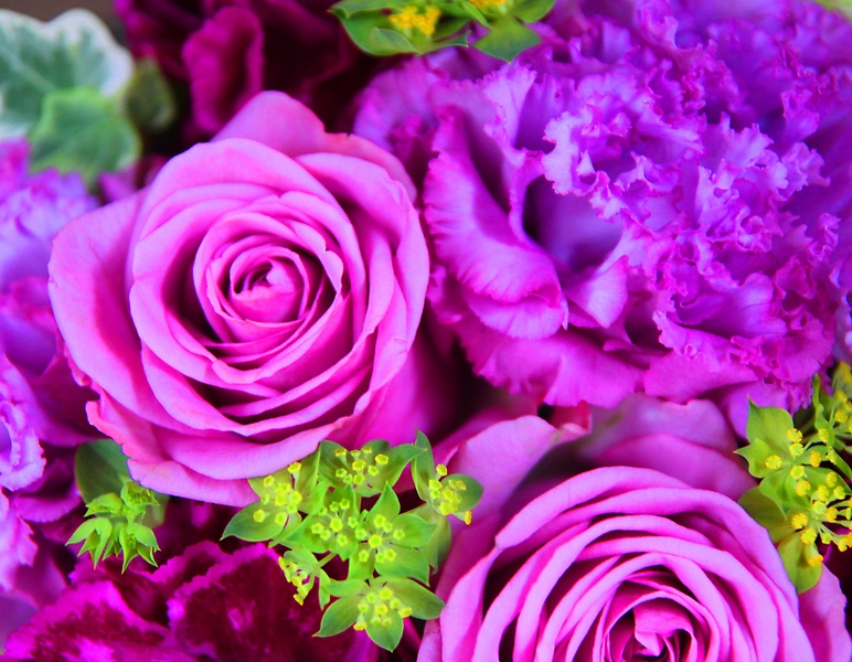 母の日Le Rose(レ ローゼ）M エレガントパープル｜お花屋さん「ＨＡＮＡＴＯＳＨＩ」の母の日のお花