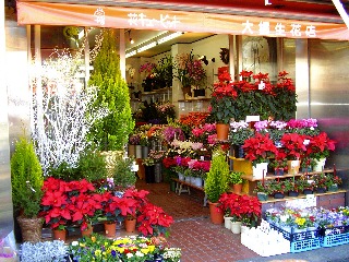 有 大場生花店 江東区東砂のお花屋さん イーフローラ フラワーギフトや花の宅配 送料無料も多数