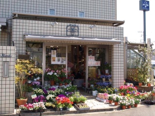 フラワーショップ 花ぐに東京都多摩市和田のお花屋さん