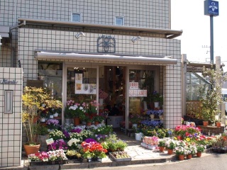 フラワーショップ 花ぐに 多摩市和田のお花屋さん イーフローラ フラワーギフトや花の宅配 送料無料も多数